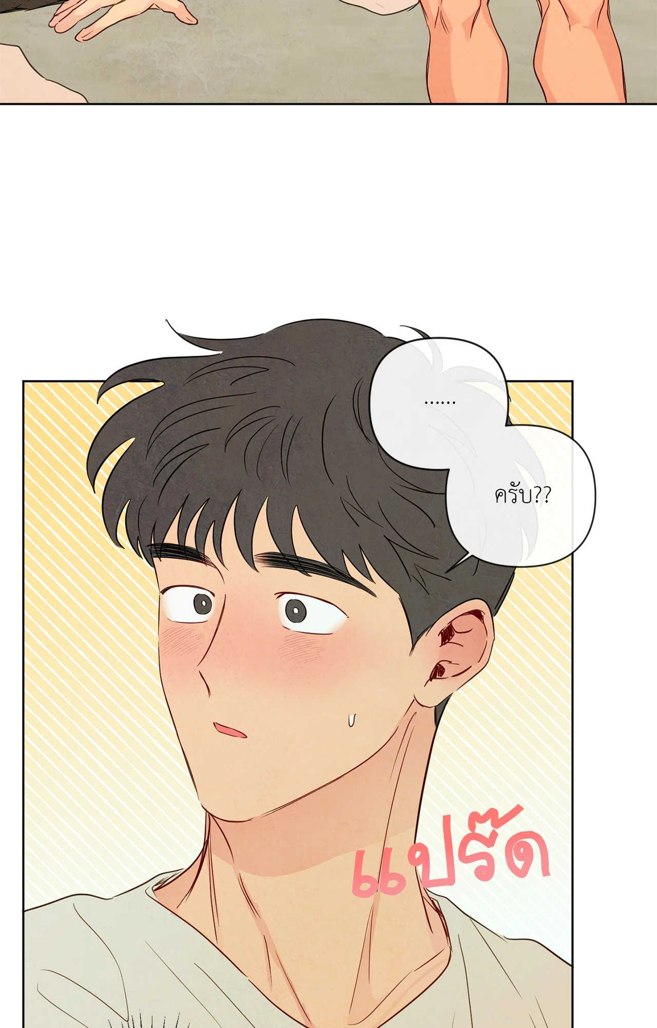 หน้า 43