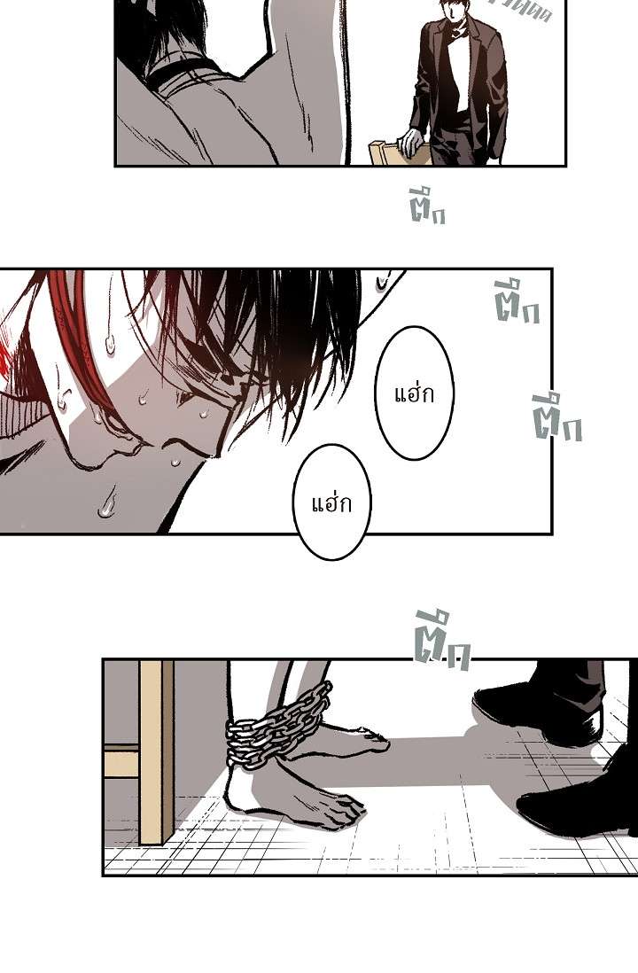หน้า 46