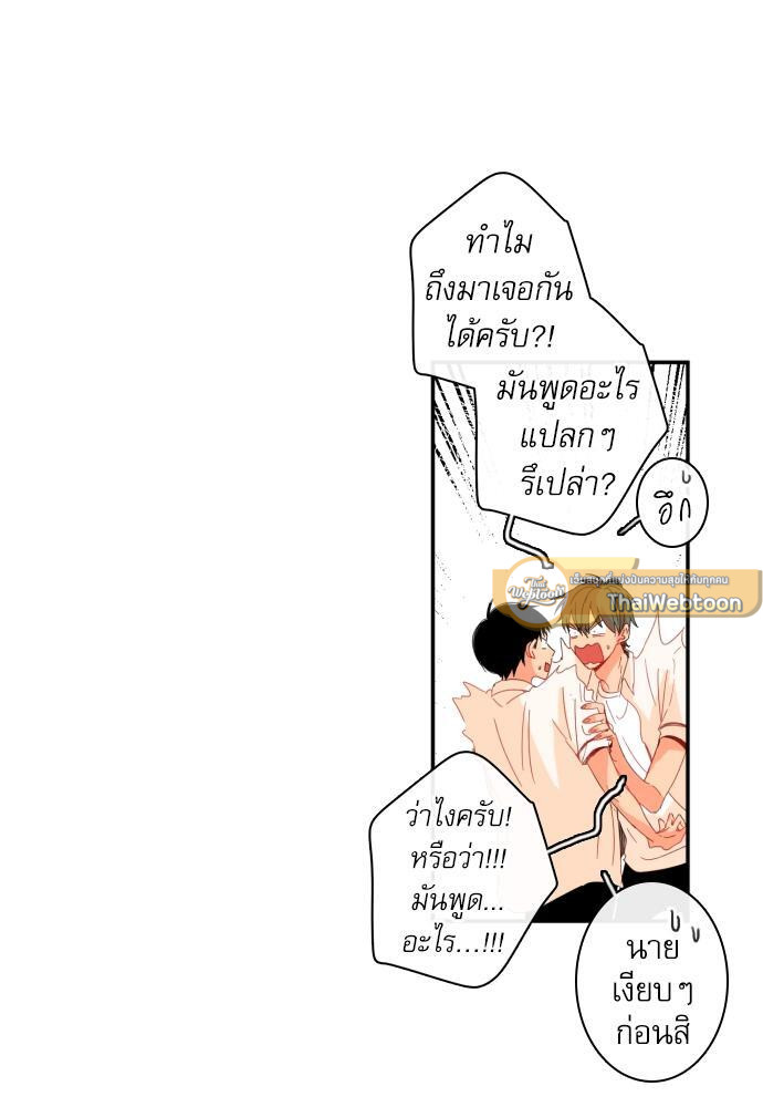 หน้า 61