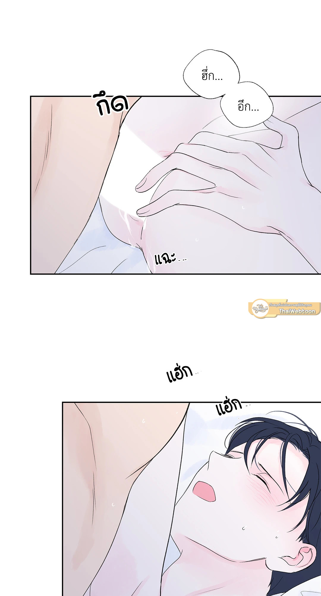 หน้า 41