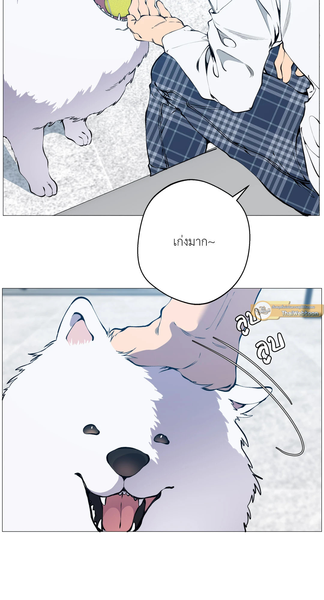 หน้า 22
