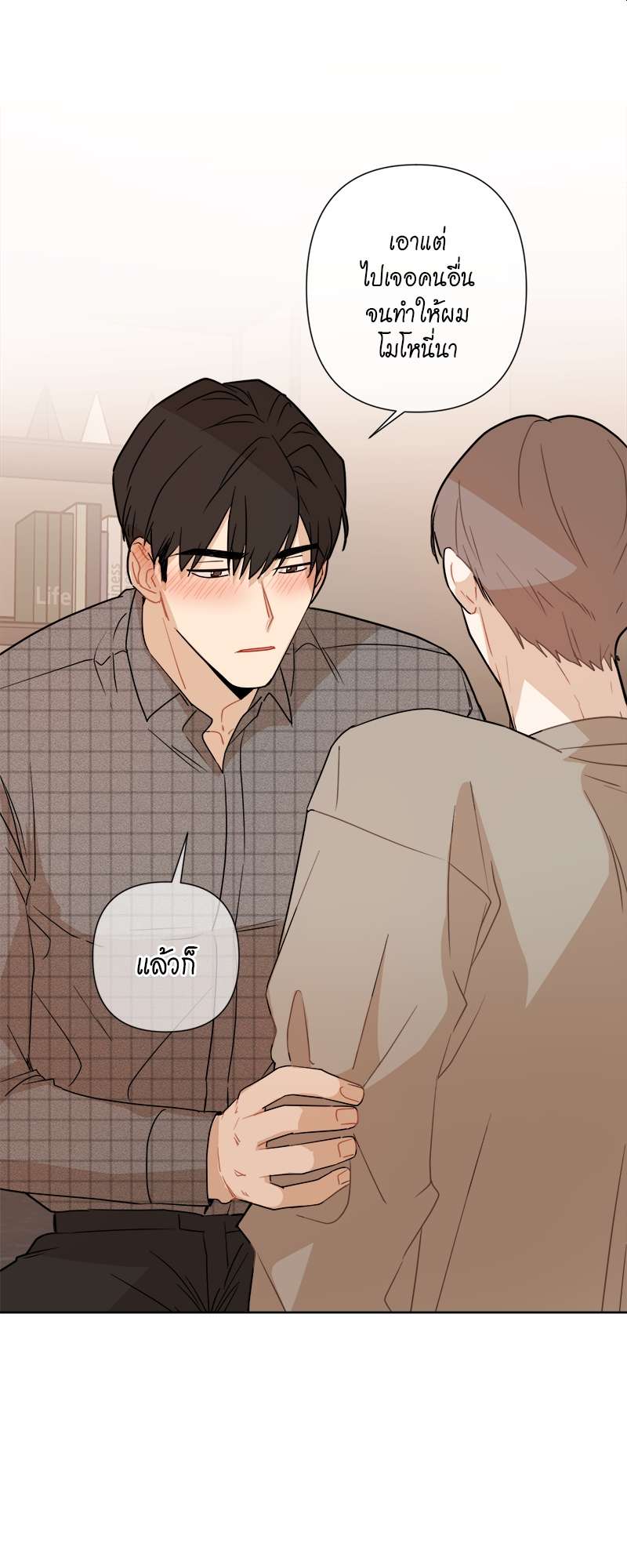 หน้า 43