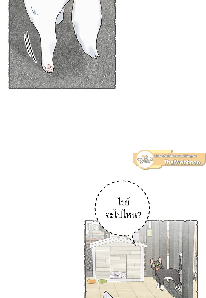 มารักกับเหมียวมั้ยครับ | My One and Only Cat ตอนที่ 59 - รูปที่ 2