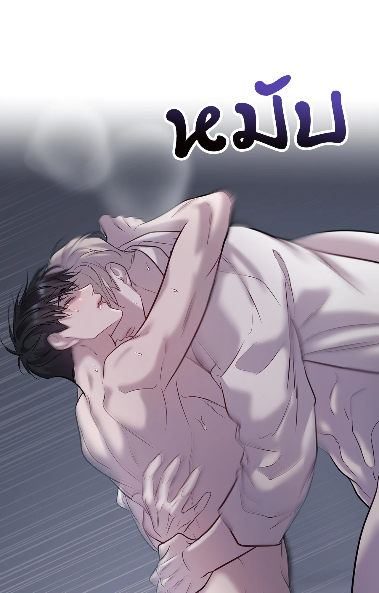 หน้า 43