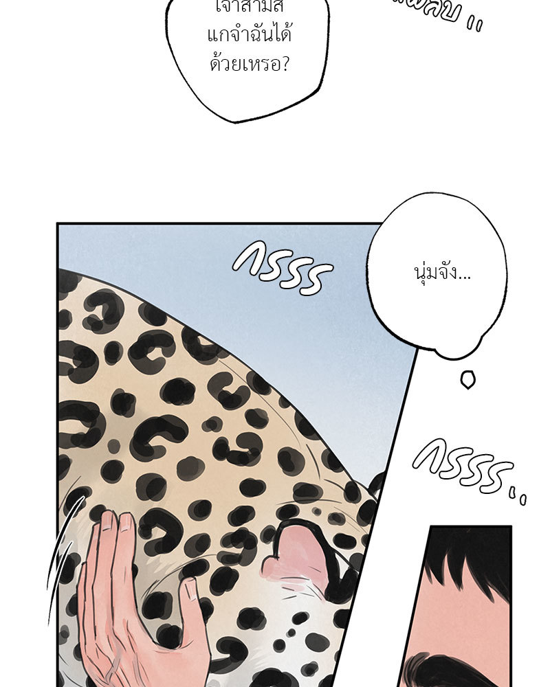 หน้า 66
