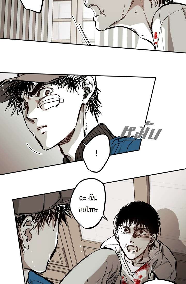 หน้า 43