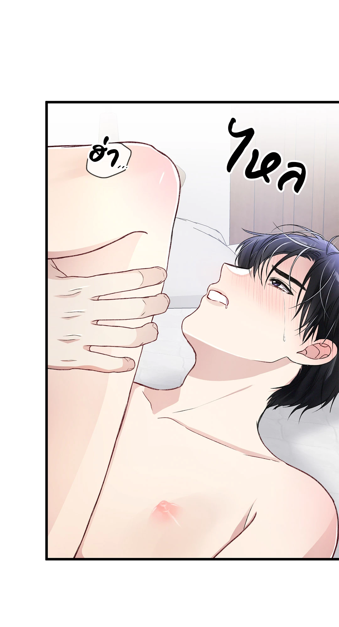 หน้า 46