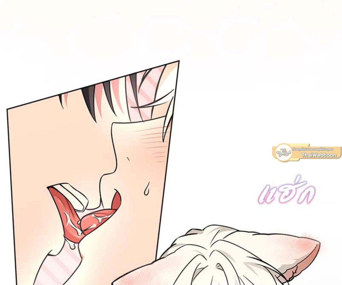 หน้า 97