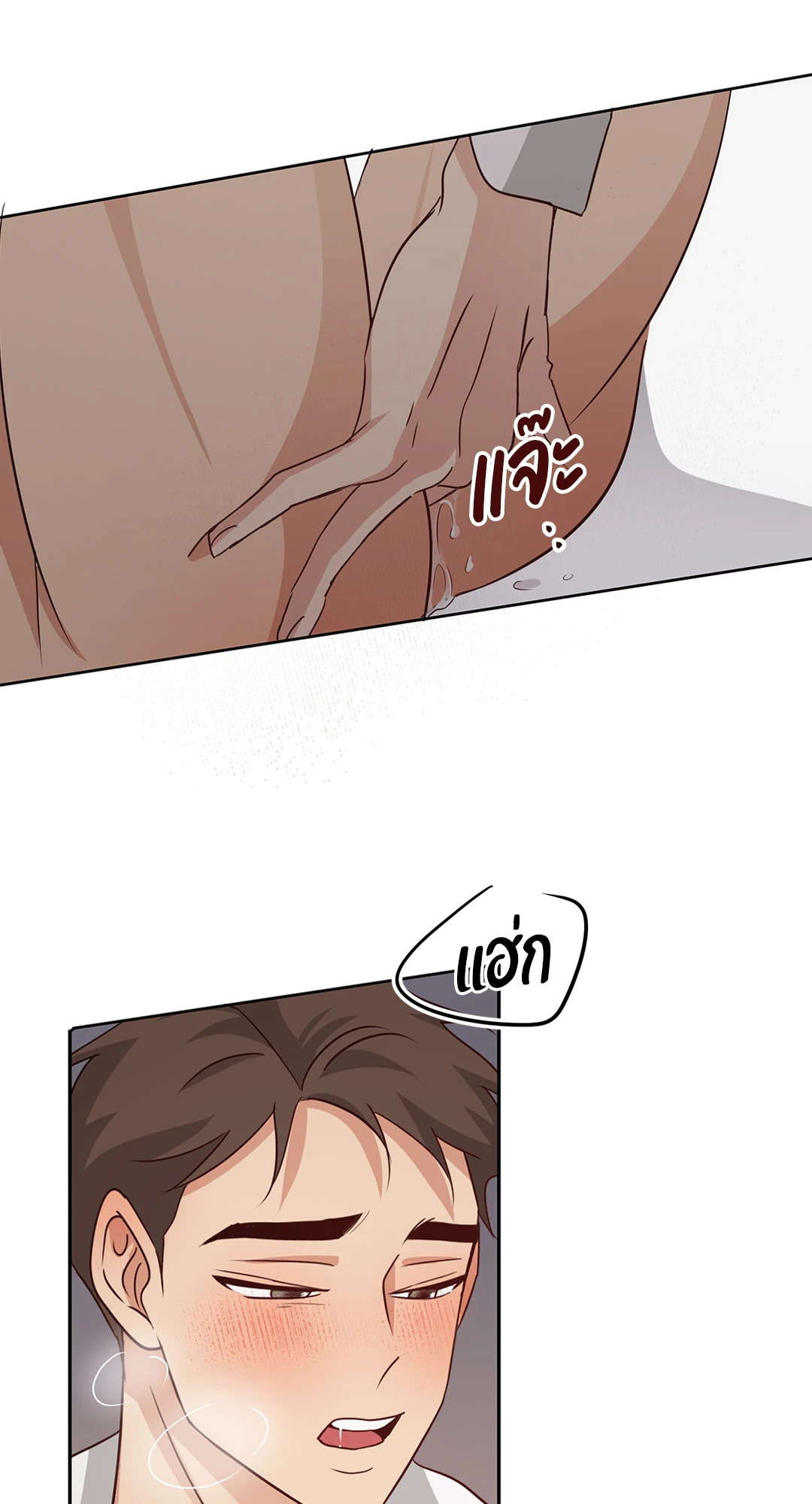 หน้า 41