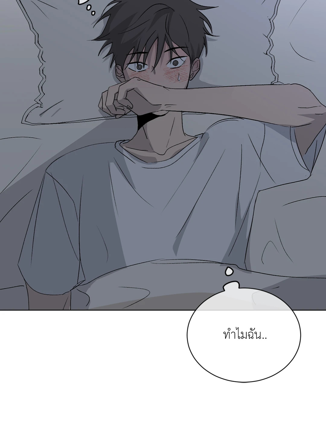 หน้า 43