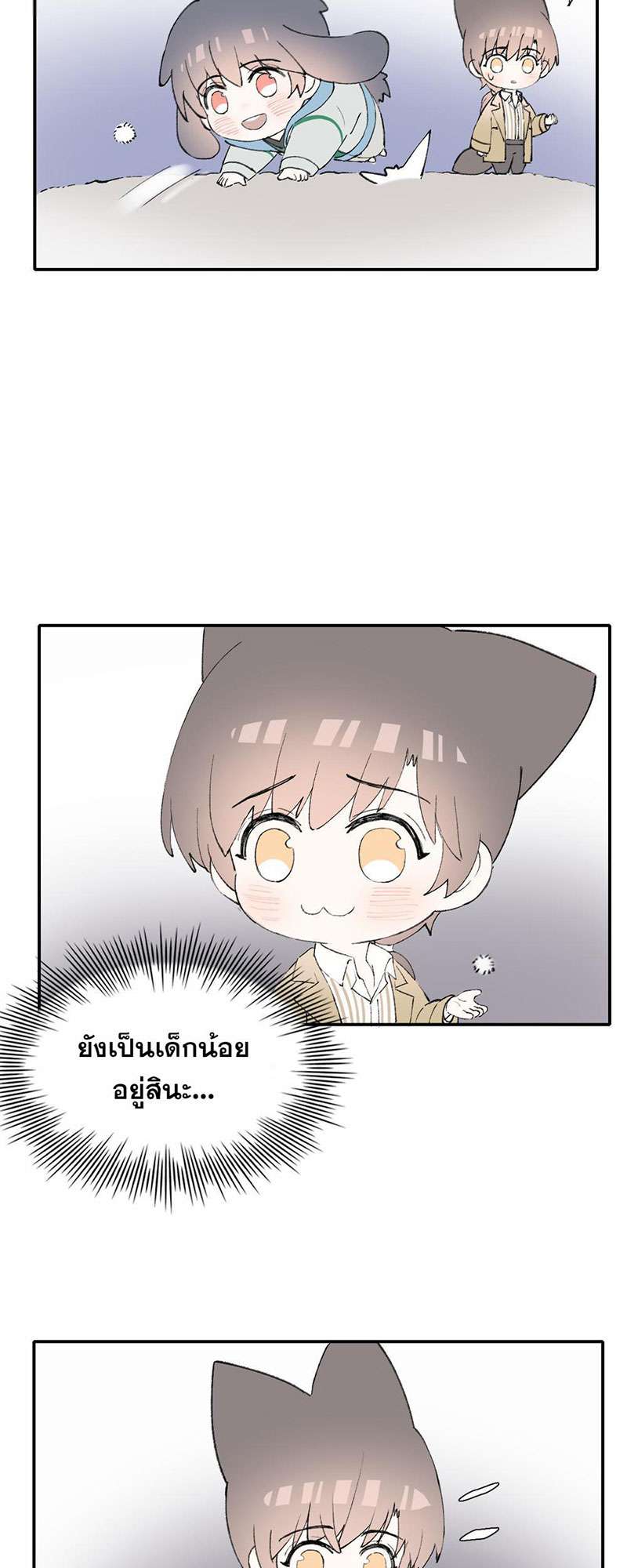 หน้า 43