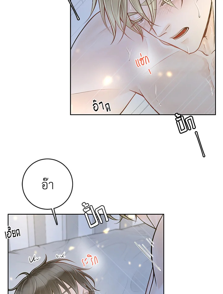 หน้า 42