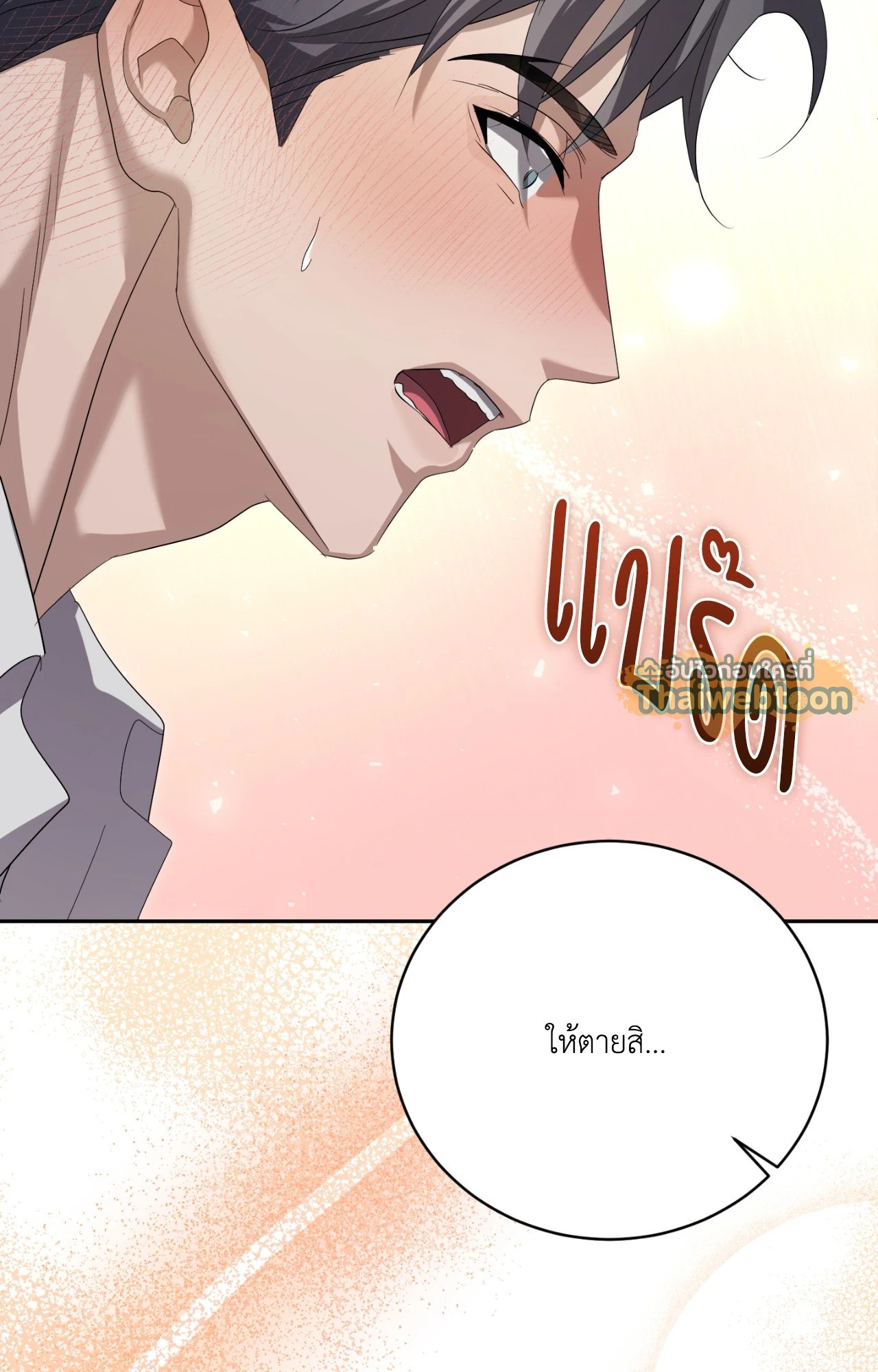 หน้า 101