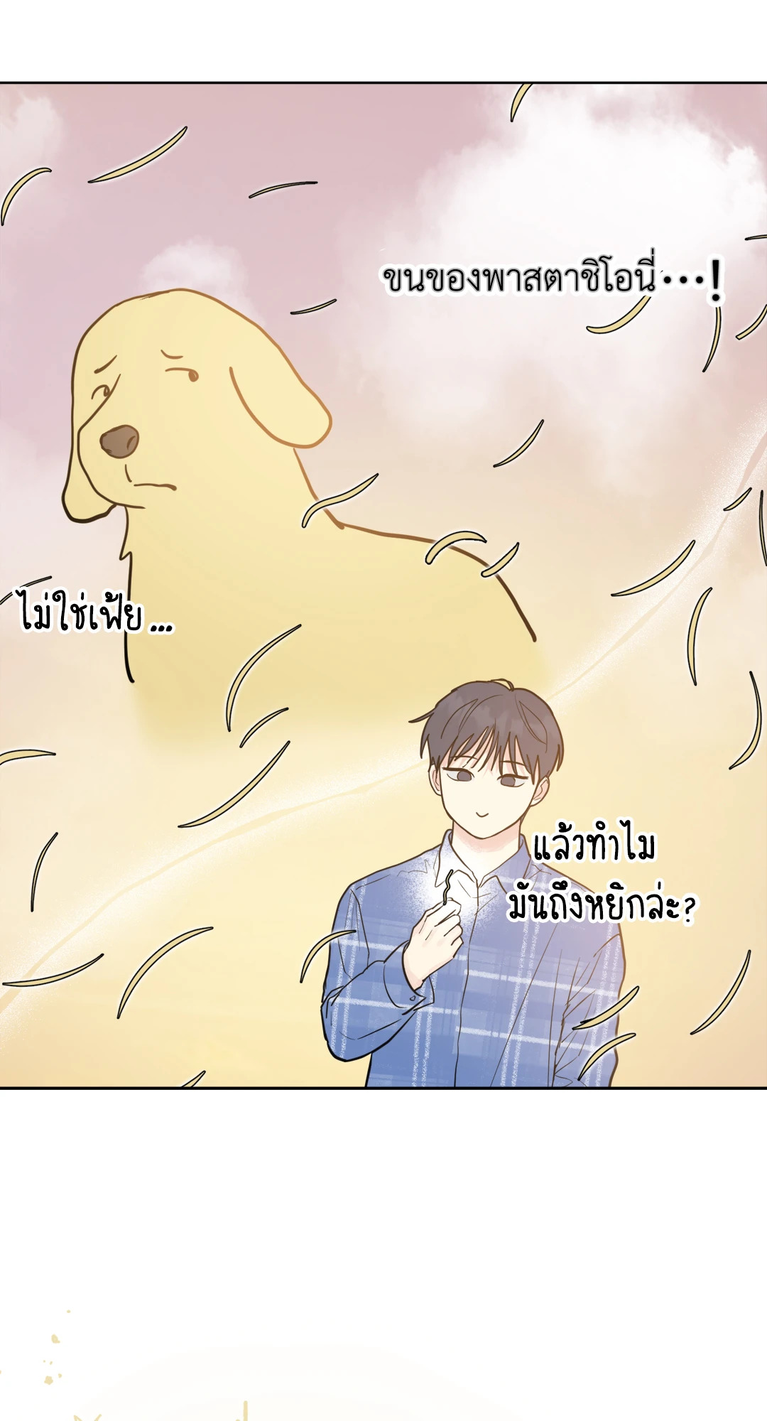 หน้า 62