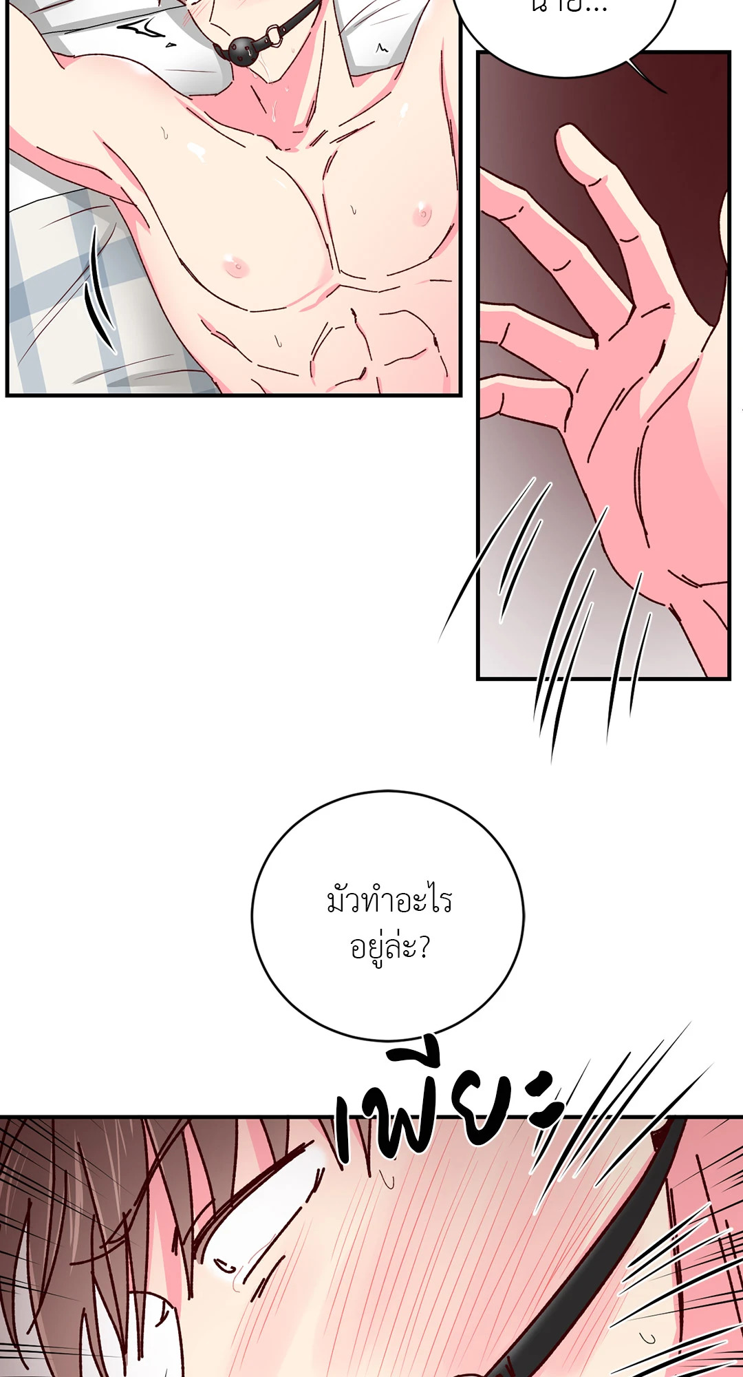 หน้า 43