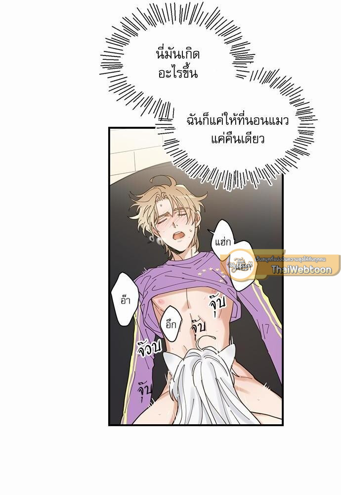 หน้า 52