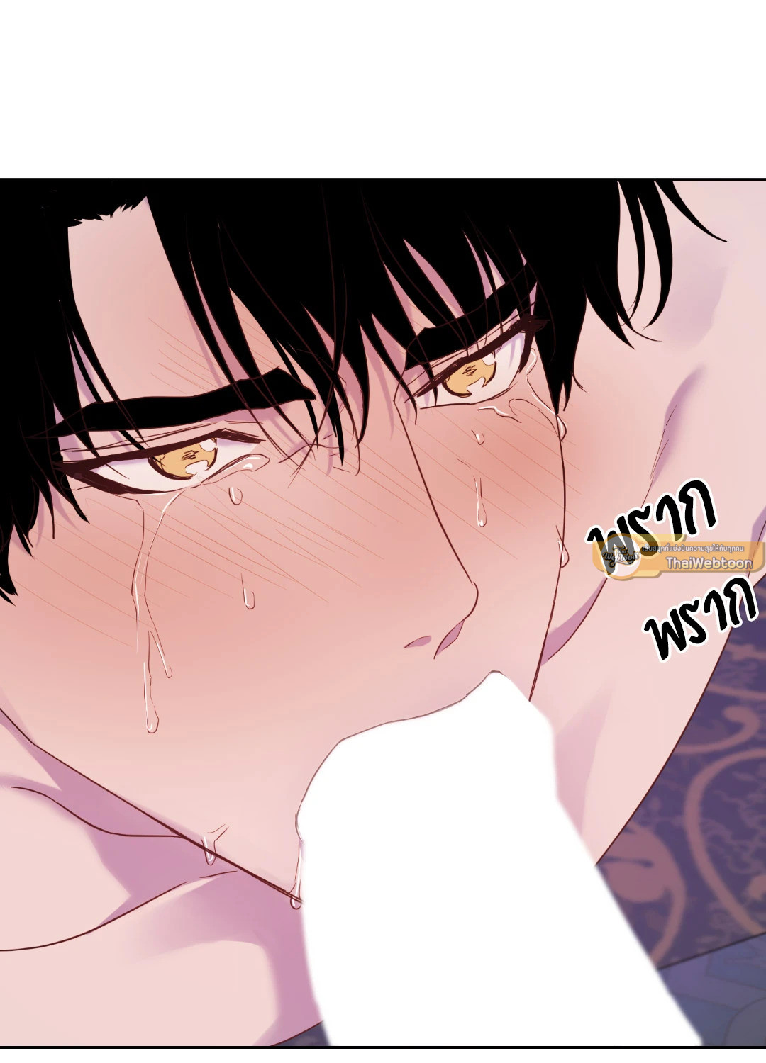 หน้า 65