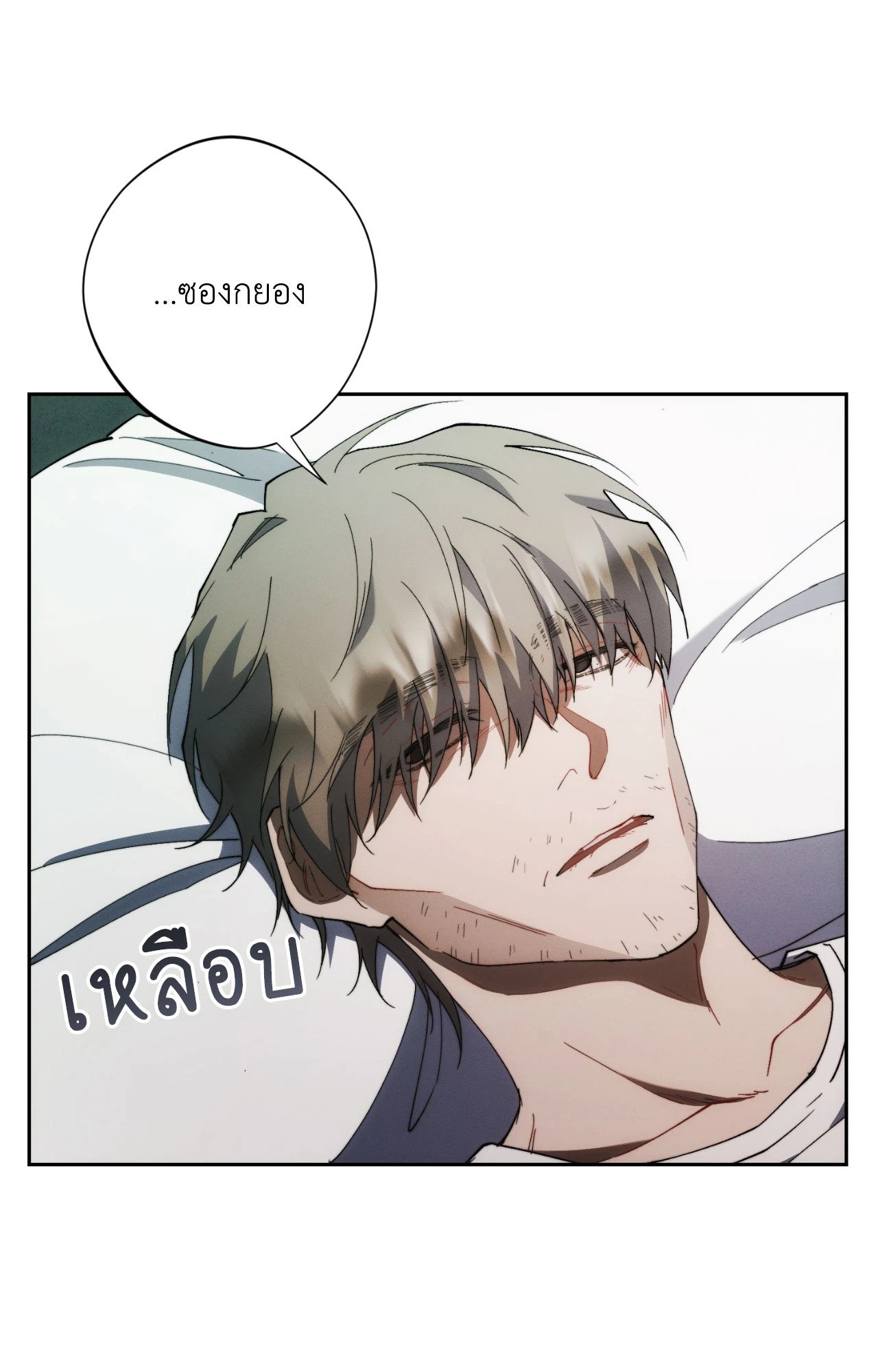 หน้า 31