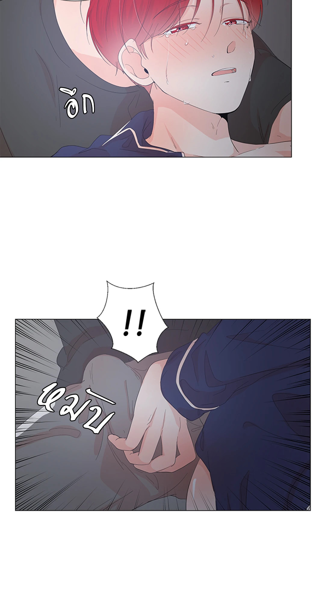 หน้า 52