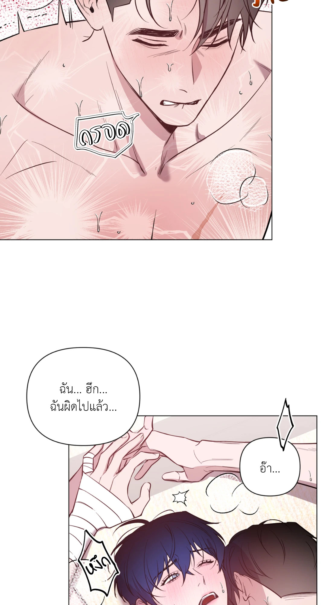 หน้า 41