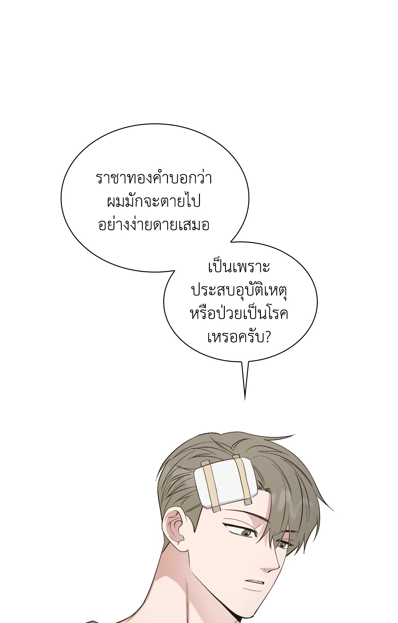 หน้า 102