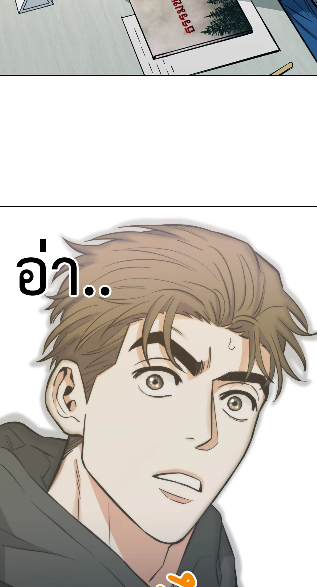 หน้า 29