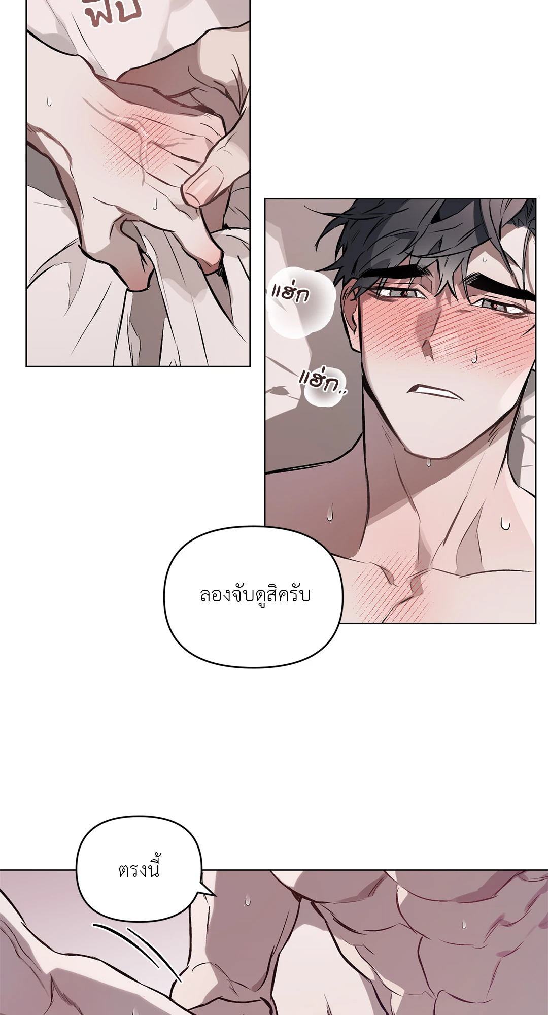 หน้า 24