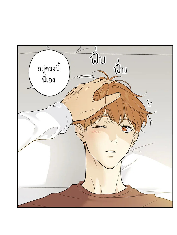หน้า 51