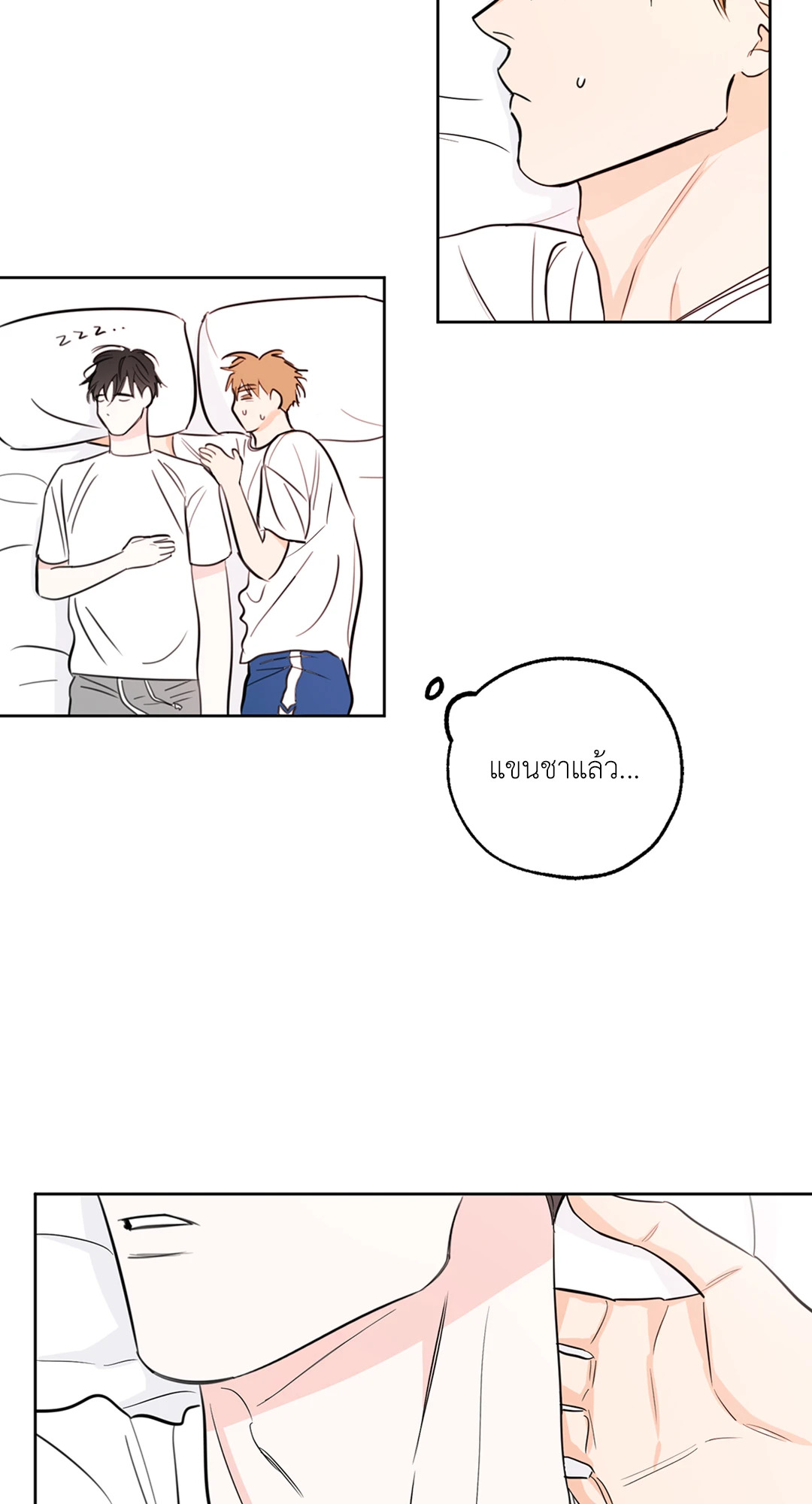 หน้า 50