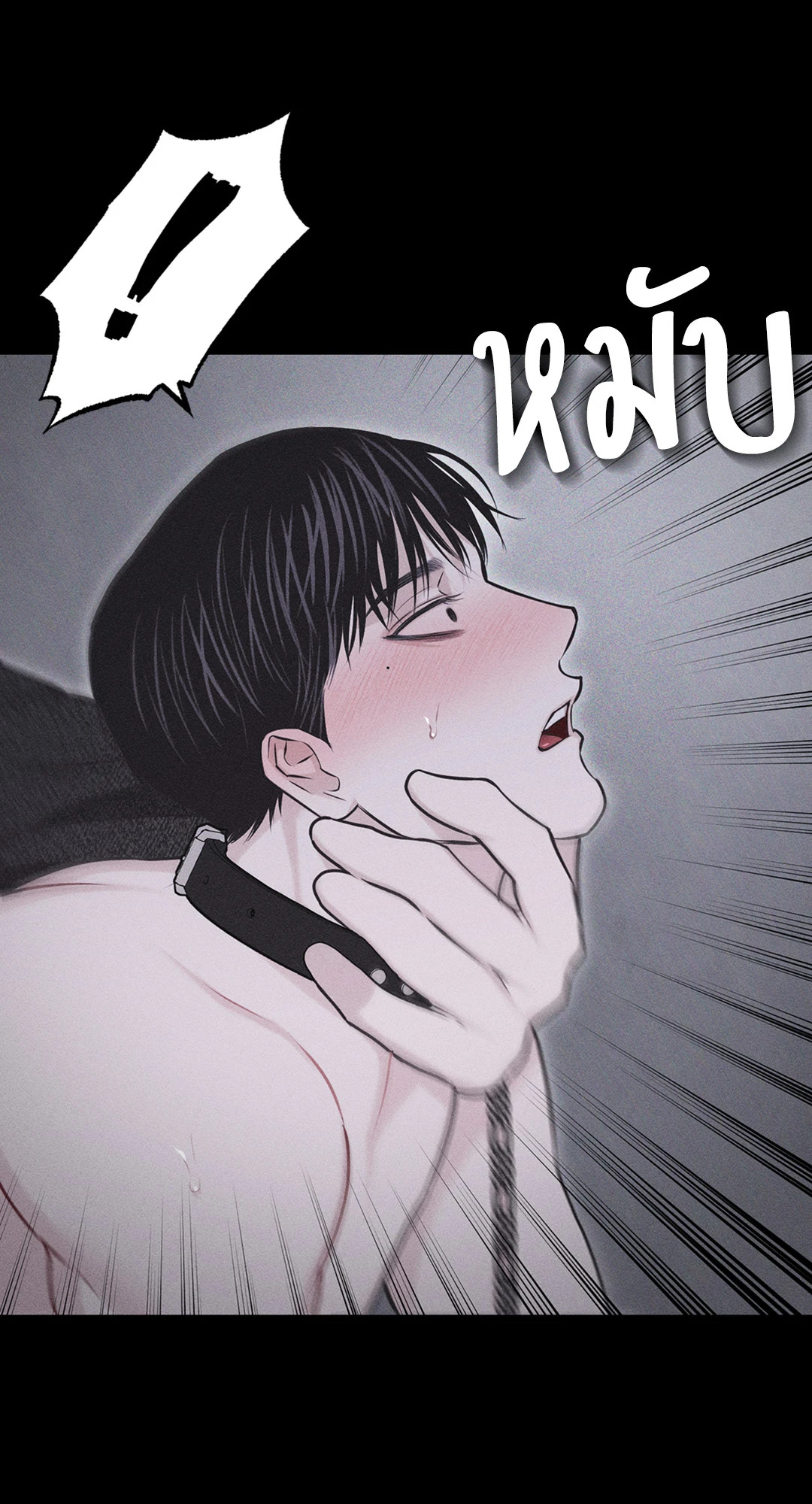 หน้า 43