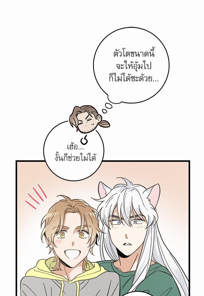 หน้า 51