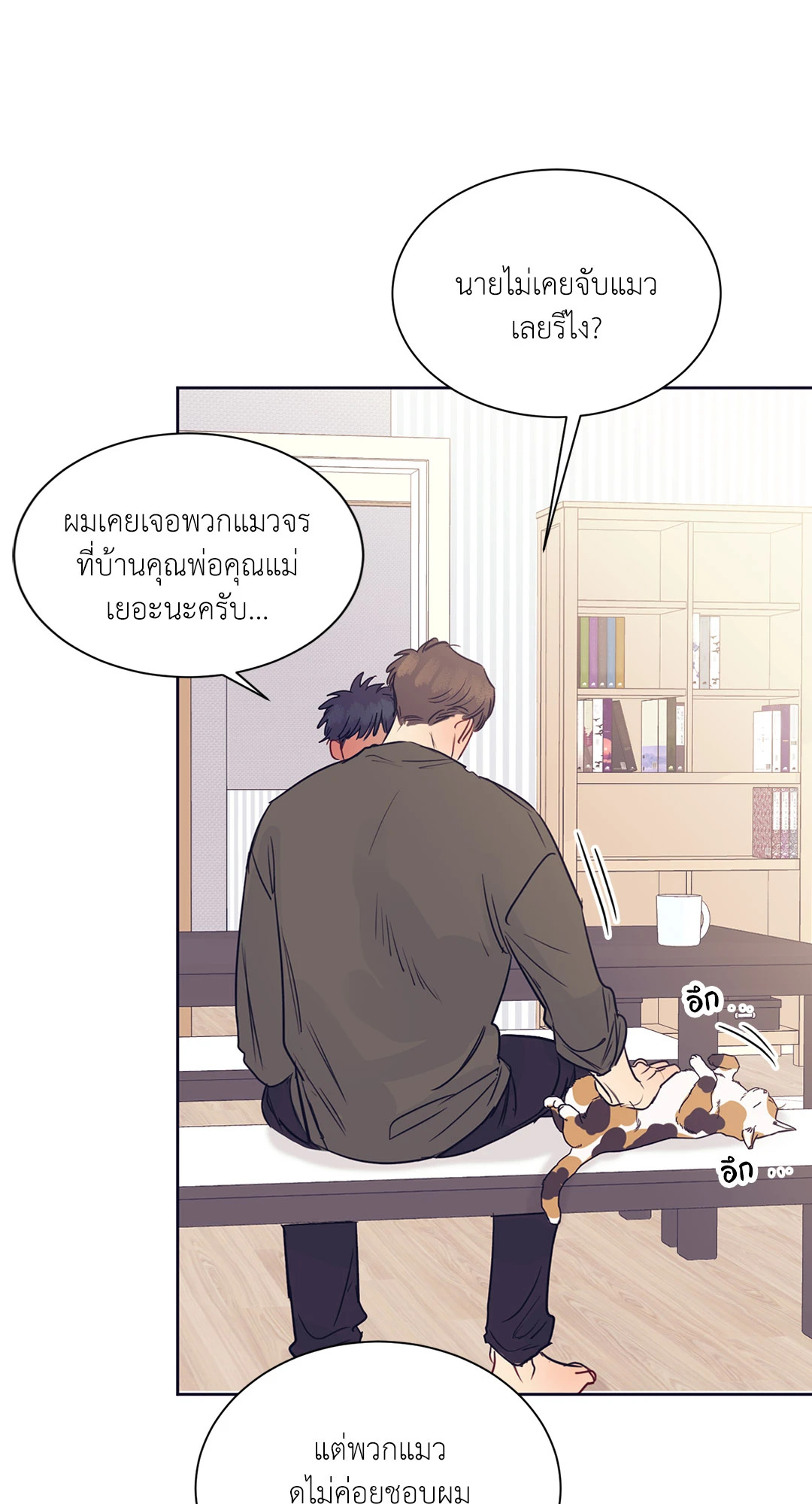 หน้า 20