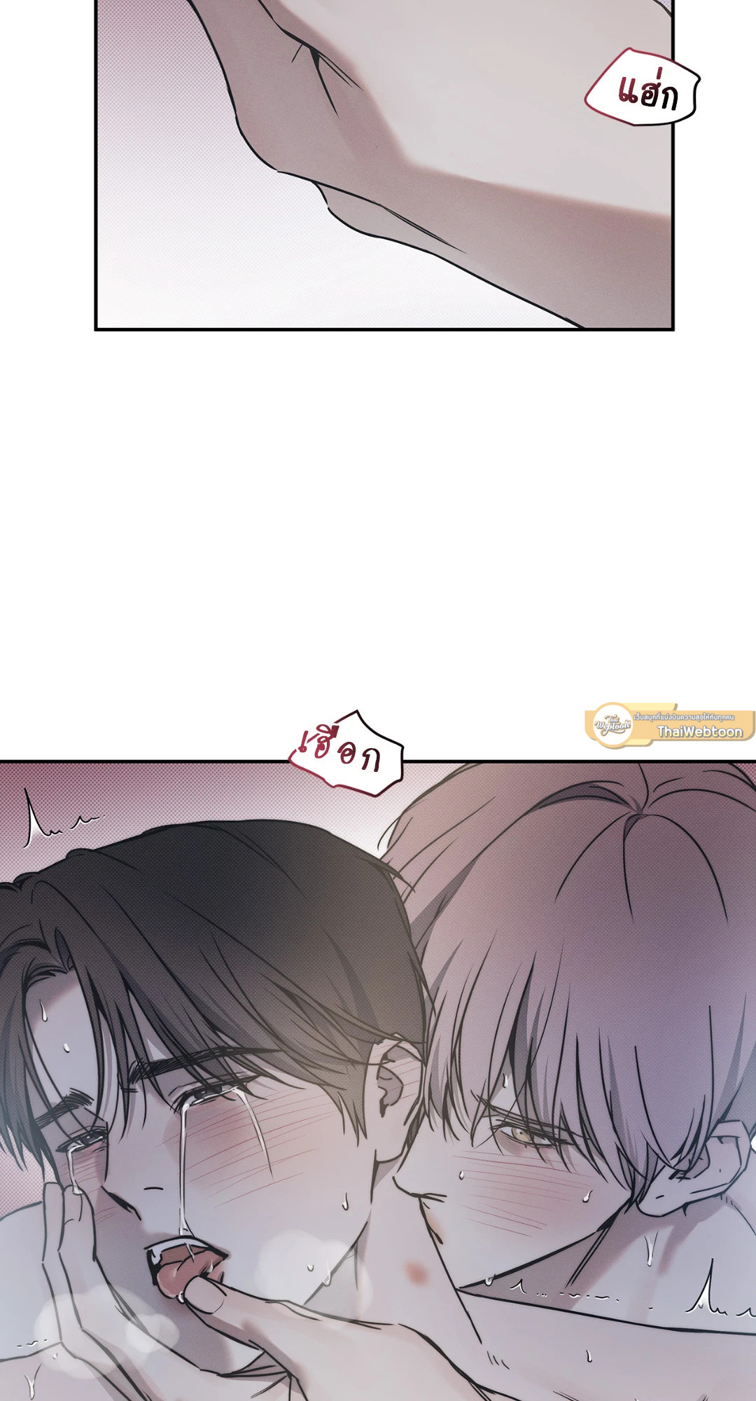 หน้า 51