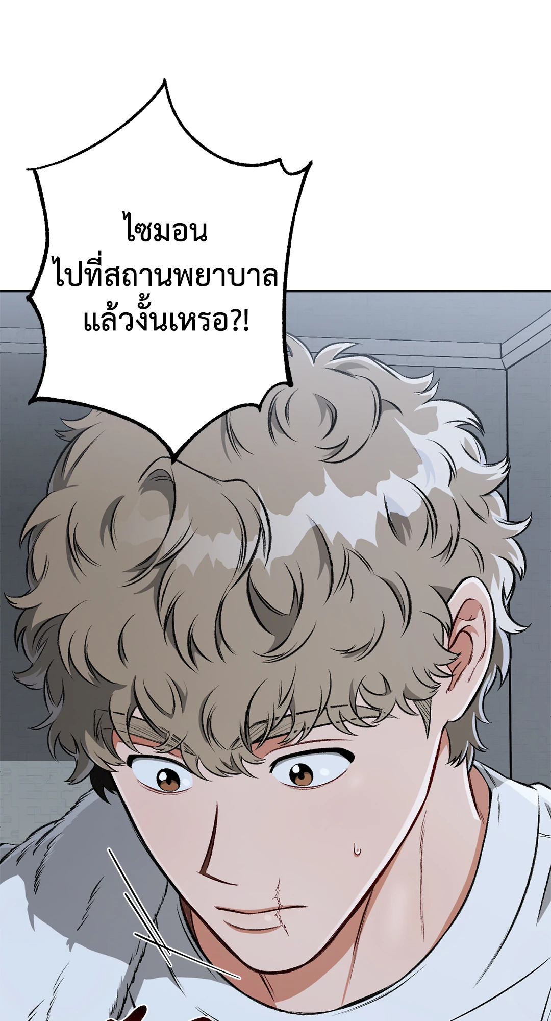 หน้า 43