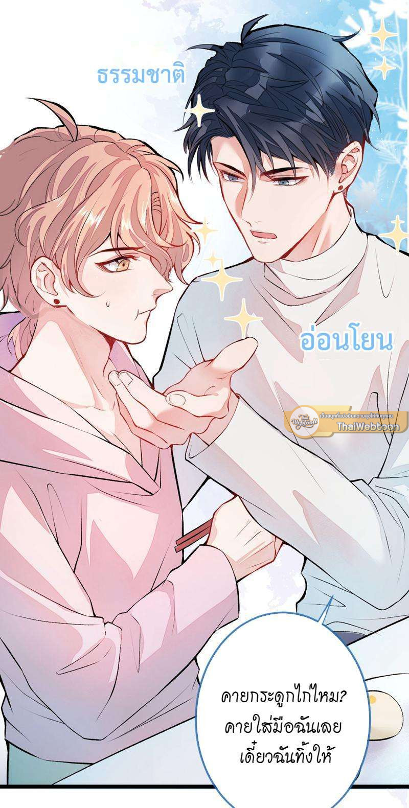 หน้า 43