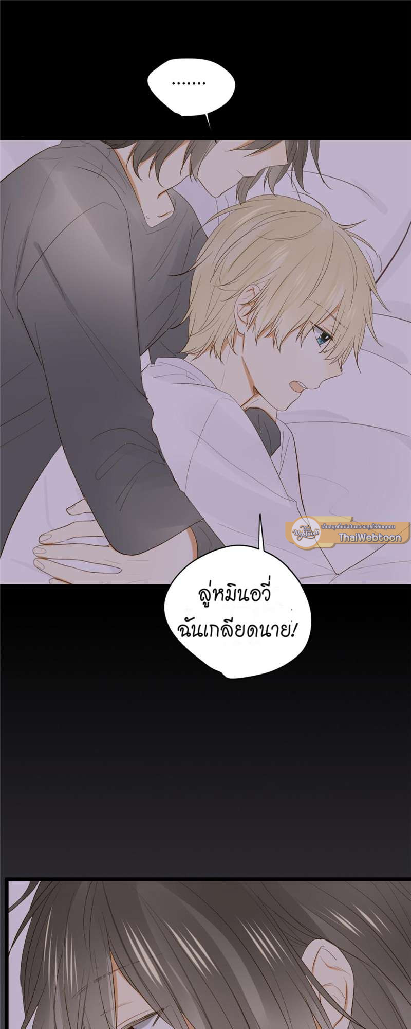 หน้า 30