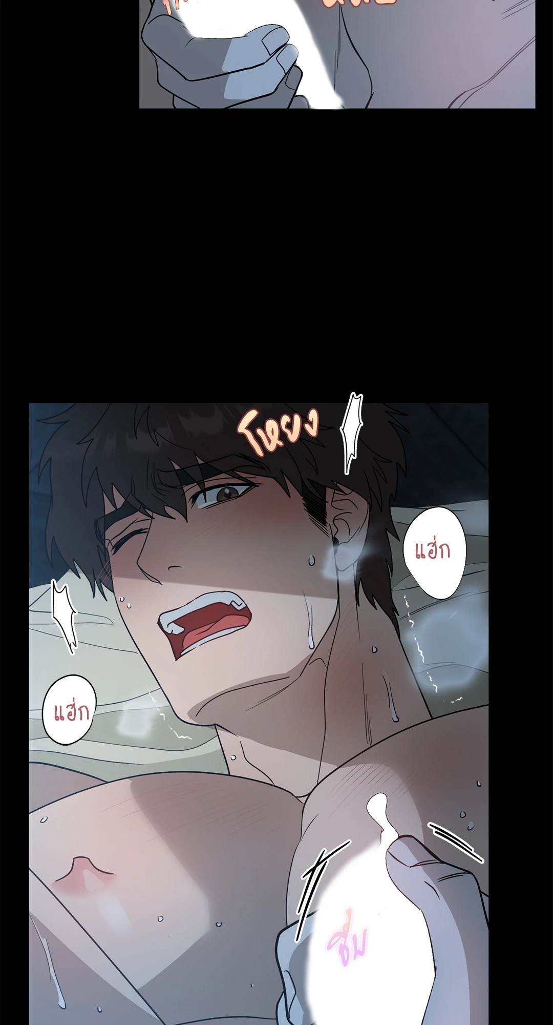 หน้า 41