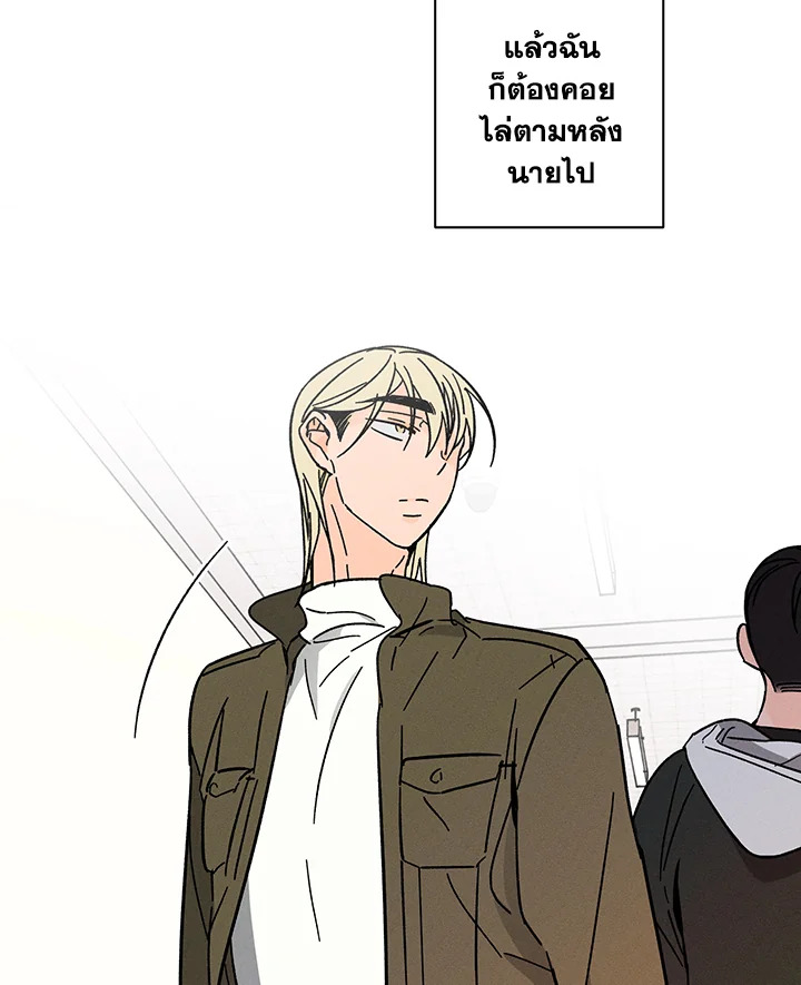 หน้า 41