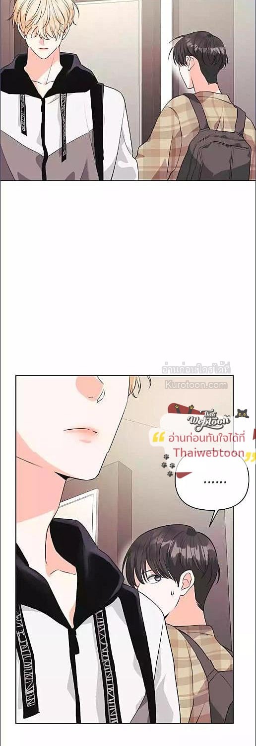 หน้า 41