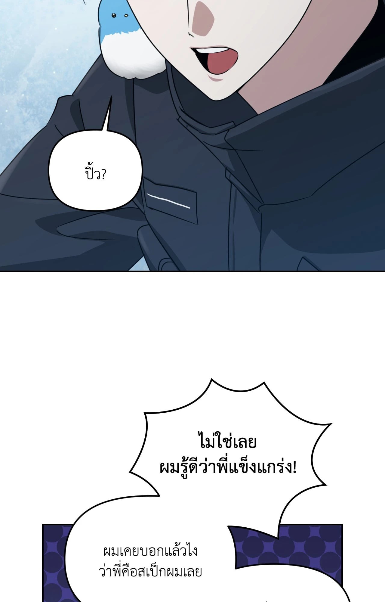 หน้า 28