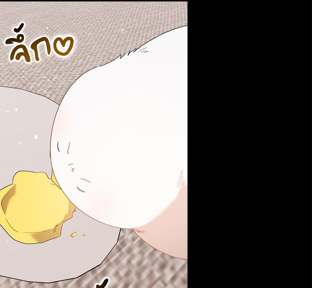 หน้า 147