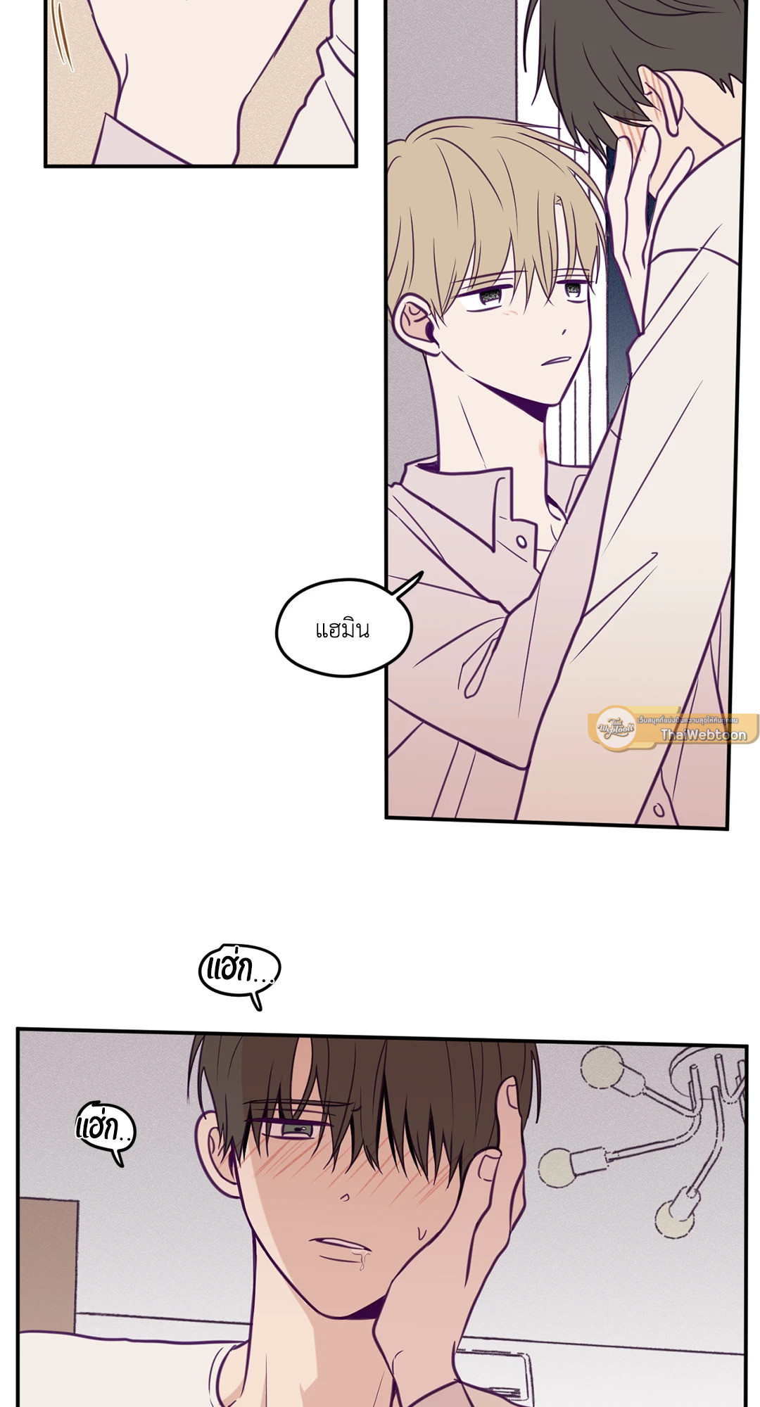 หน้า 8