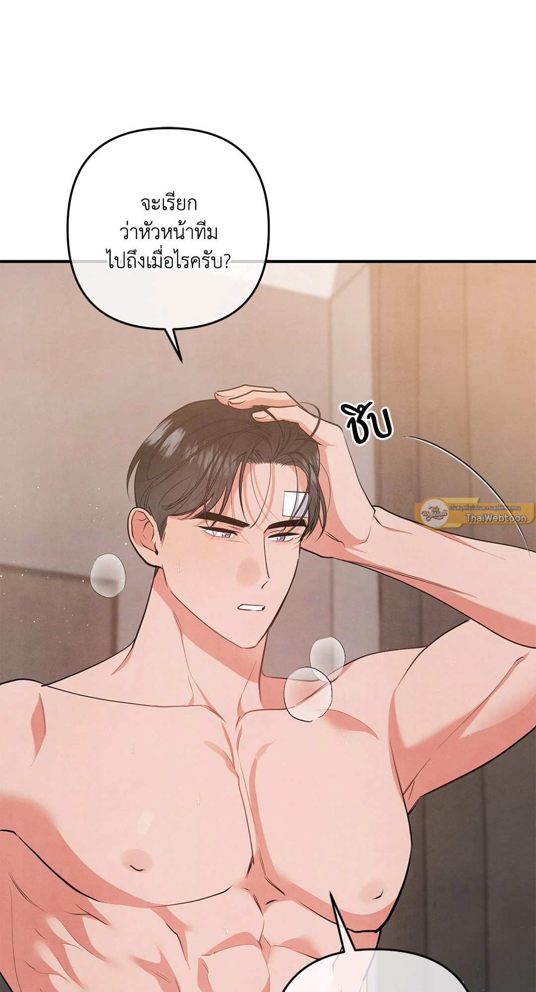 หน้า 52