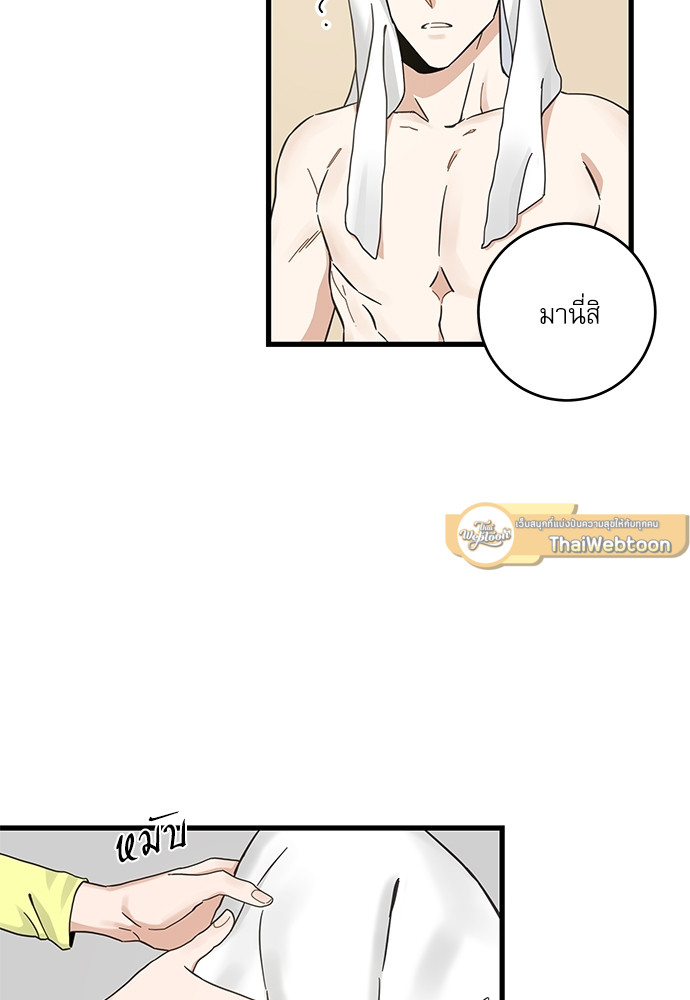 หน้า 43