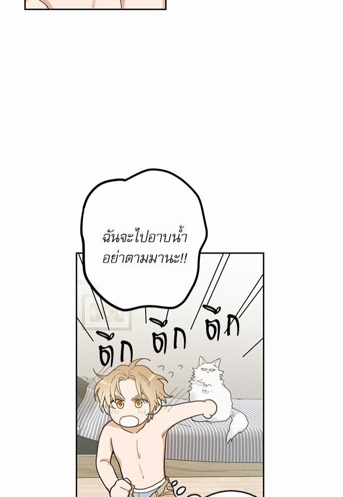 หน้า 81