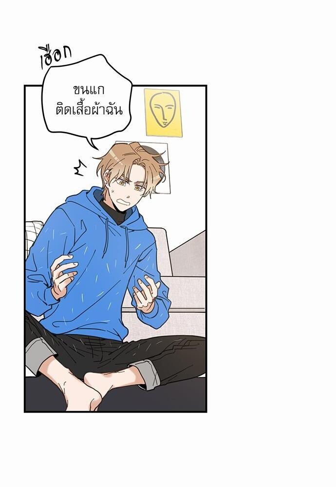 หน้า 36