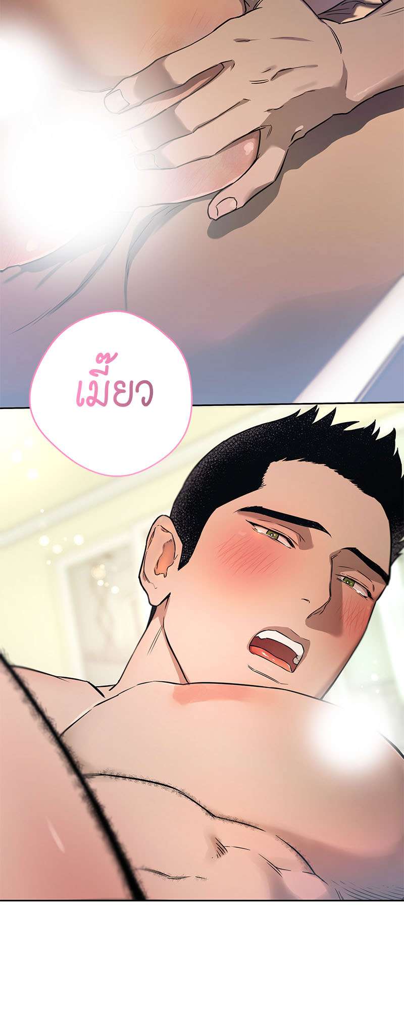 หน้า 44