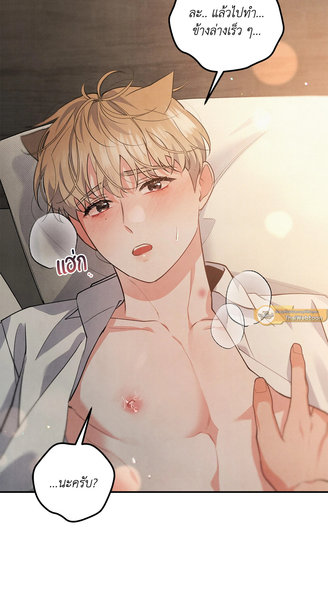 หน้า 44