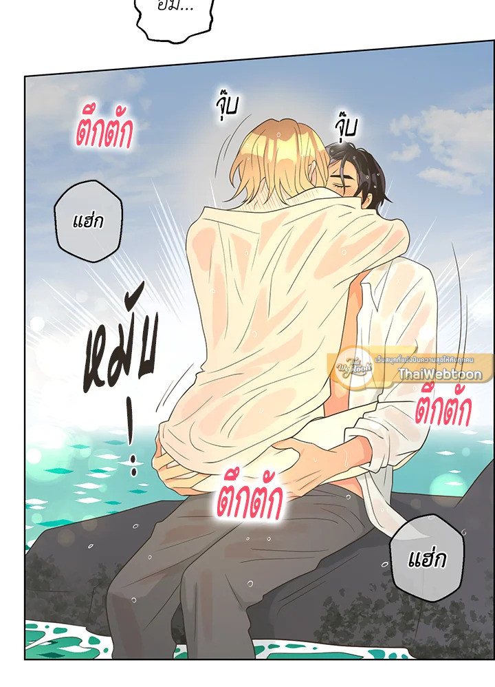 หน้า 43