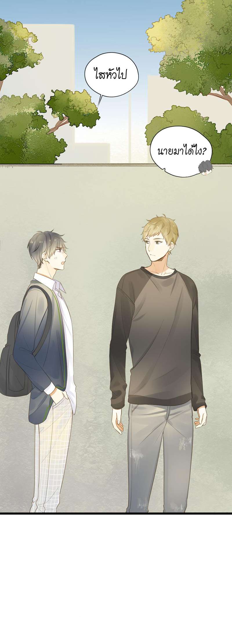 หน้า 43